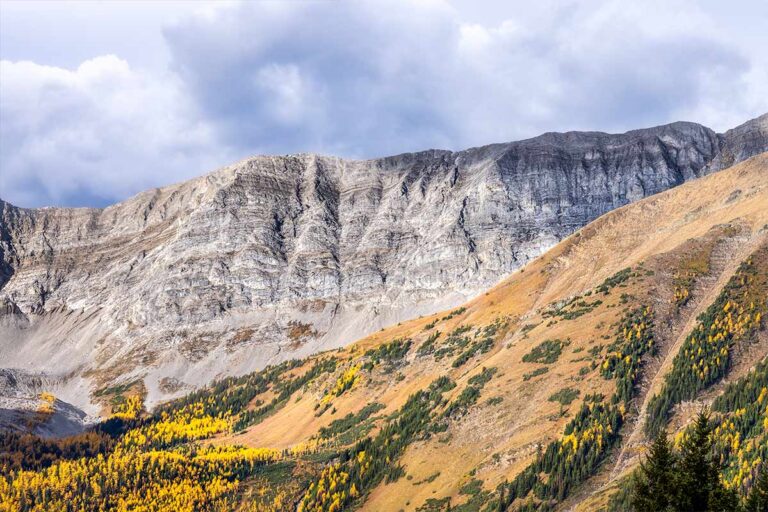 Artistic Community Calgary