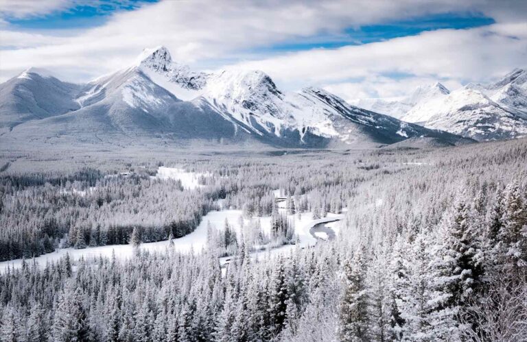 the power of white in art