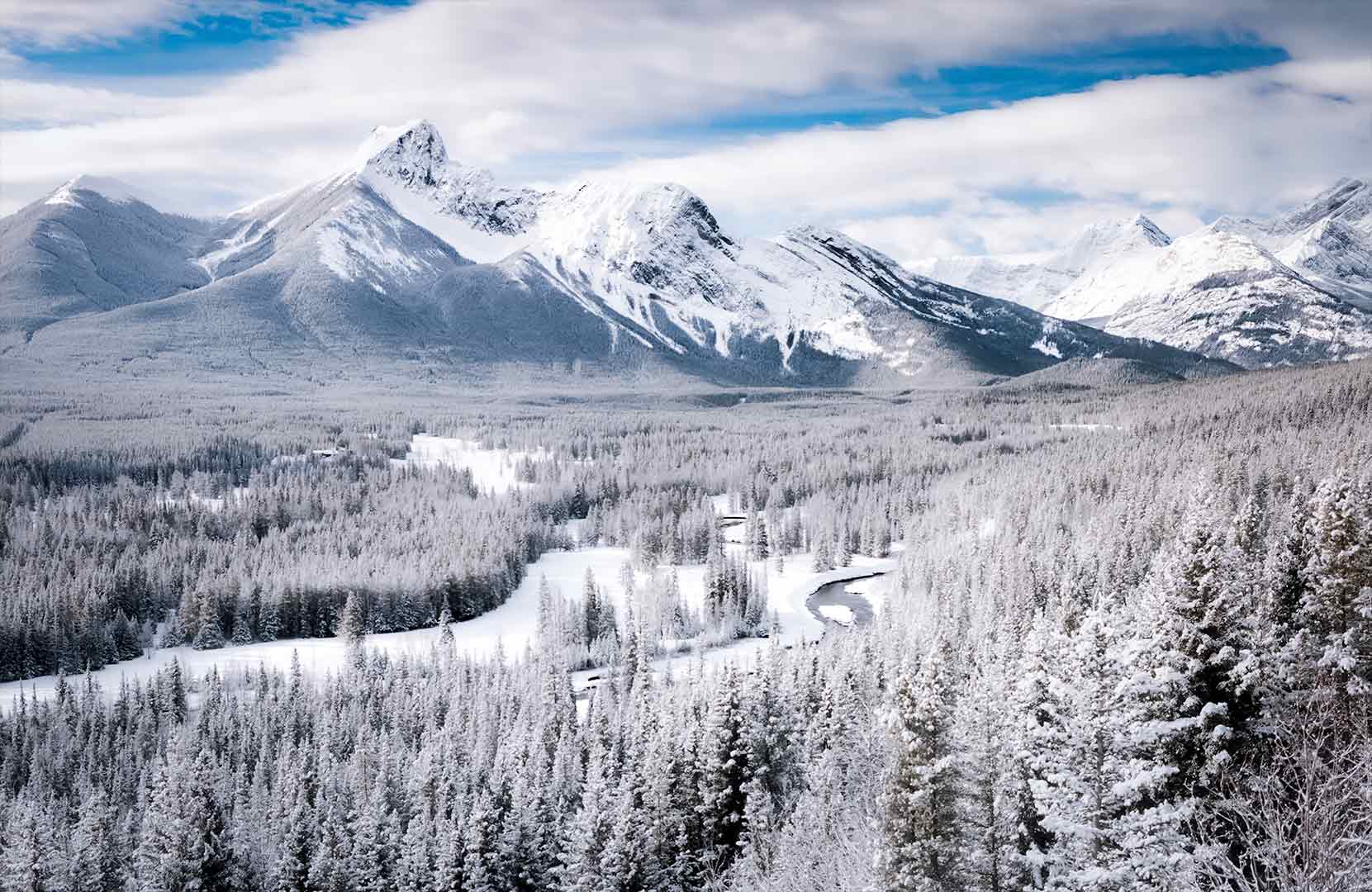 the power of white in art