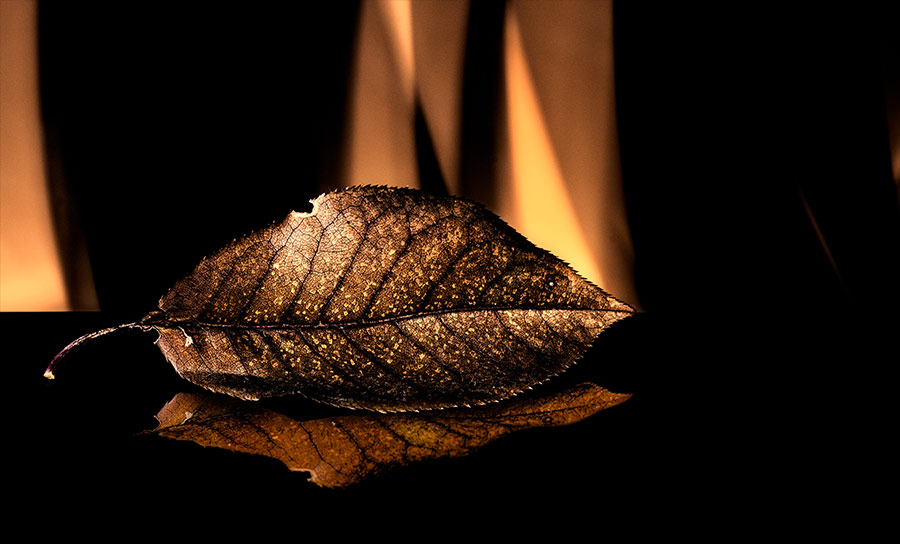 never too late to follow your dreams